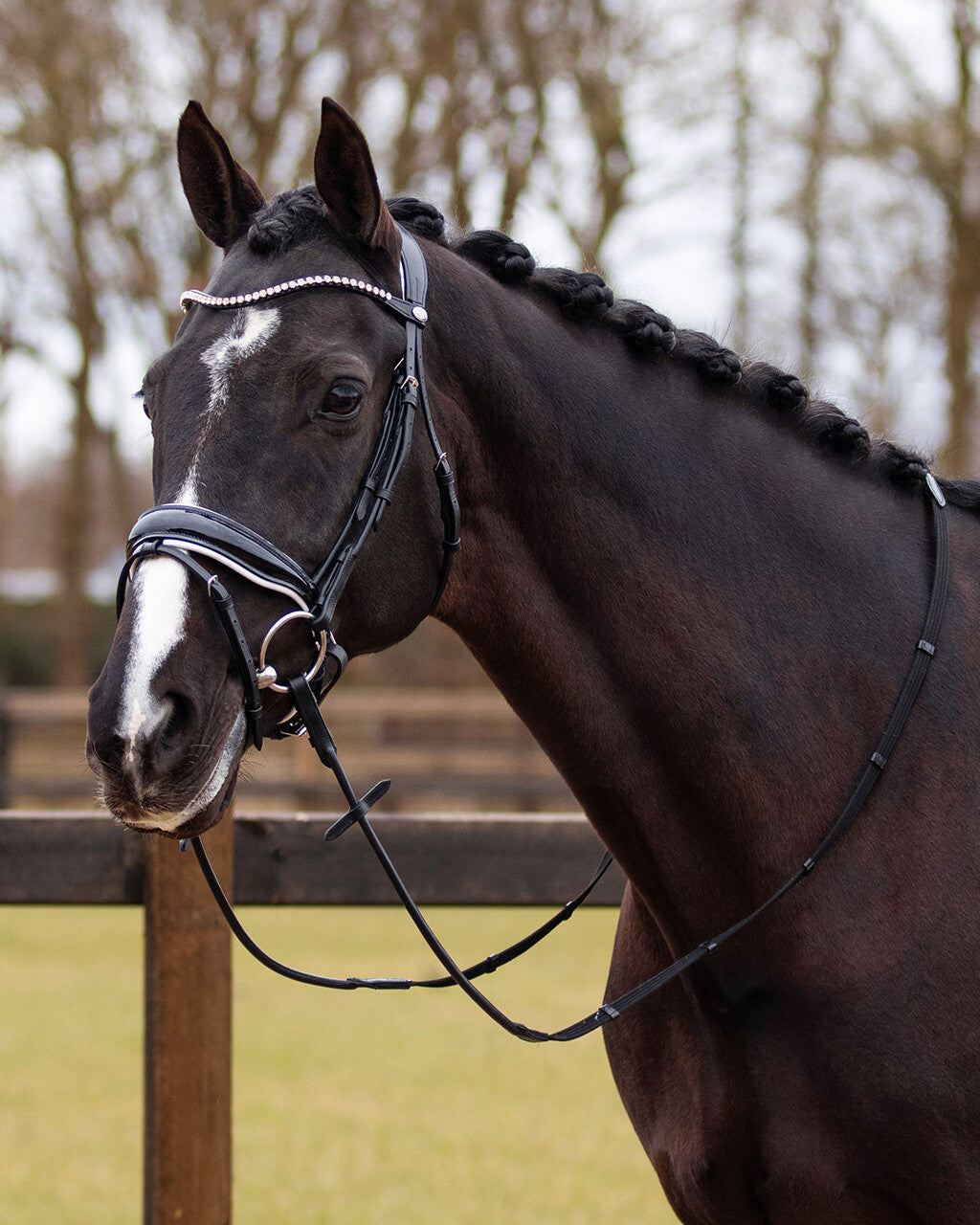 Anatomic Nehza bridle
