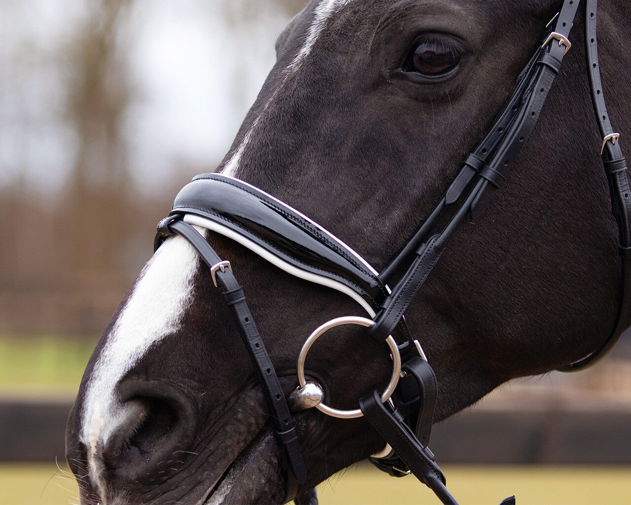 Anatomic Nehza bridle