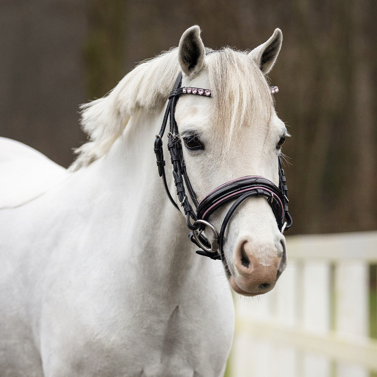 Bixie Mini Pony Bridle