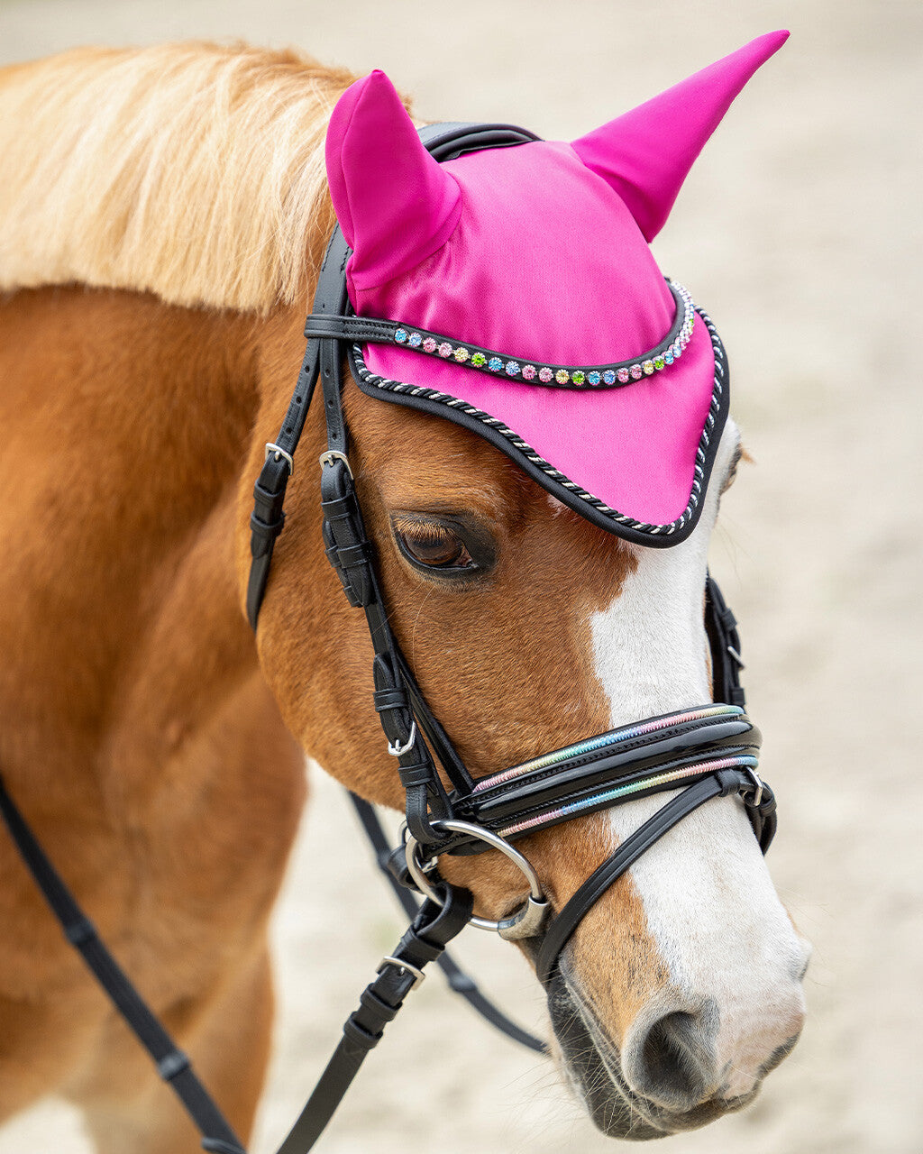 Isalyn Bridle including Reins