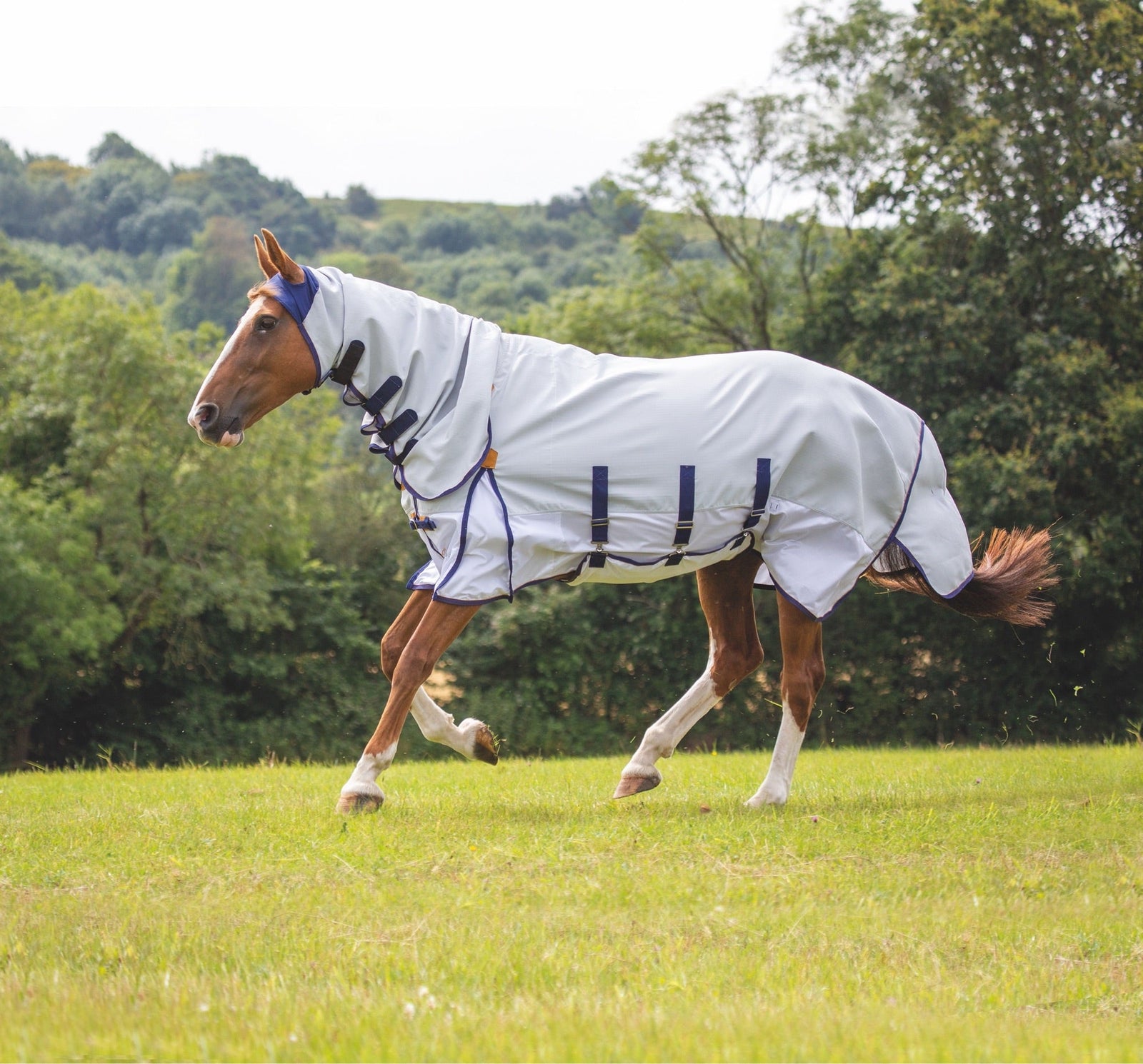 Highlander Plus Sun Shade Fly Combo Rug