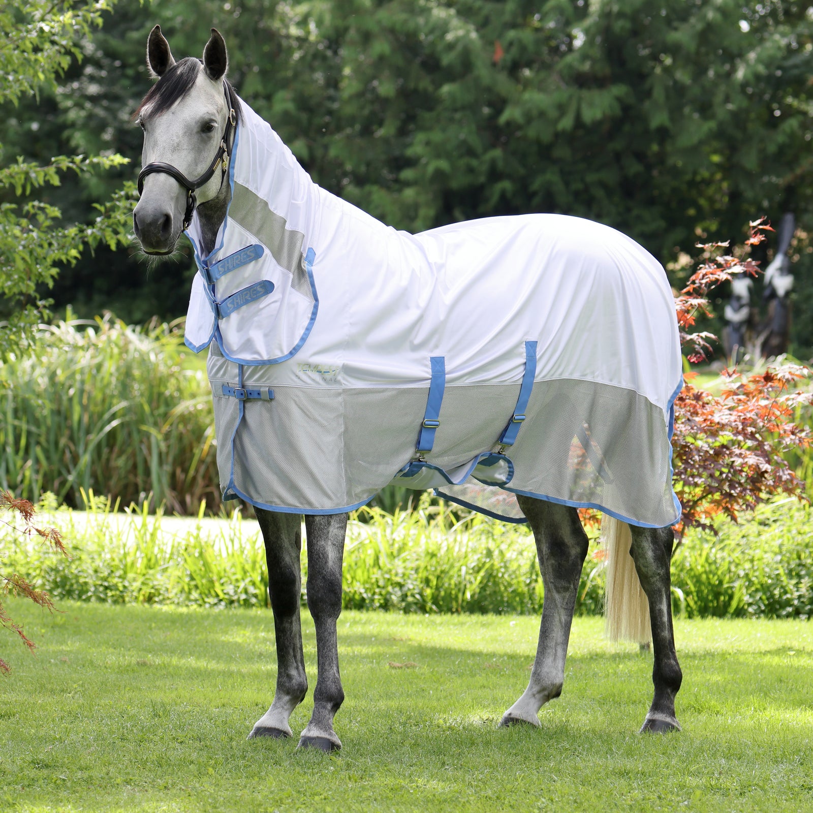Tempest Original Fly Mesh Combo Rug - Sky