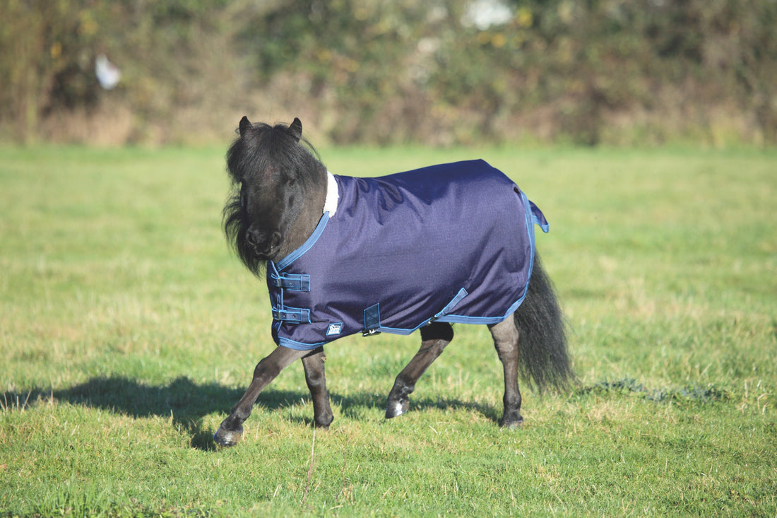 Tempest Original Lite Mini Turnout Rug - Navy