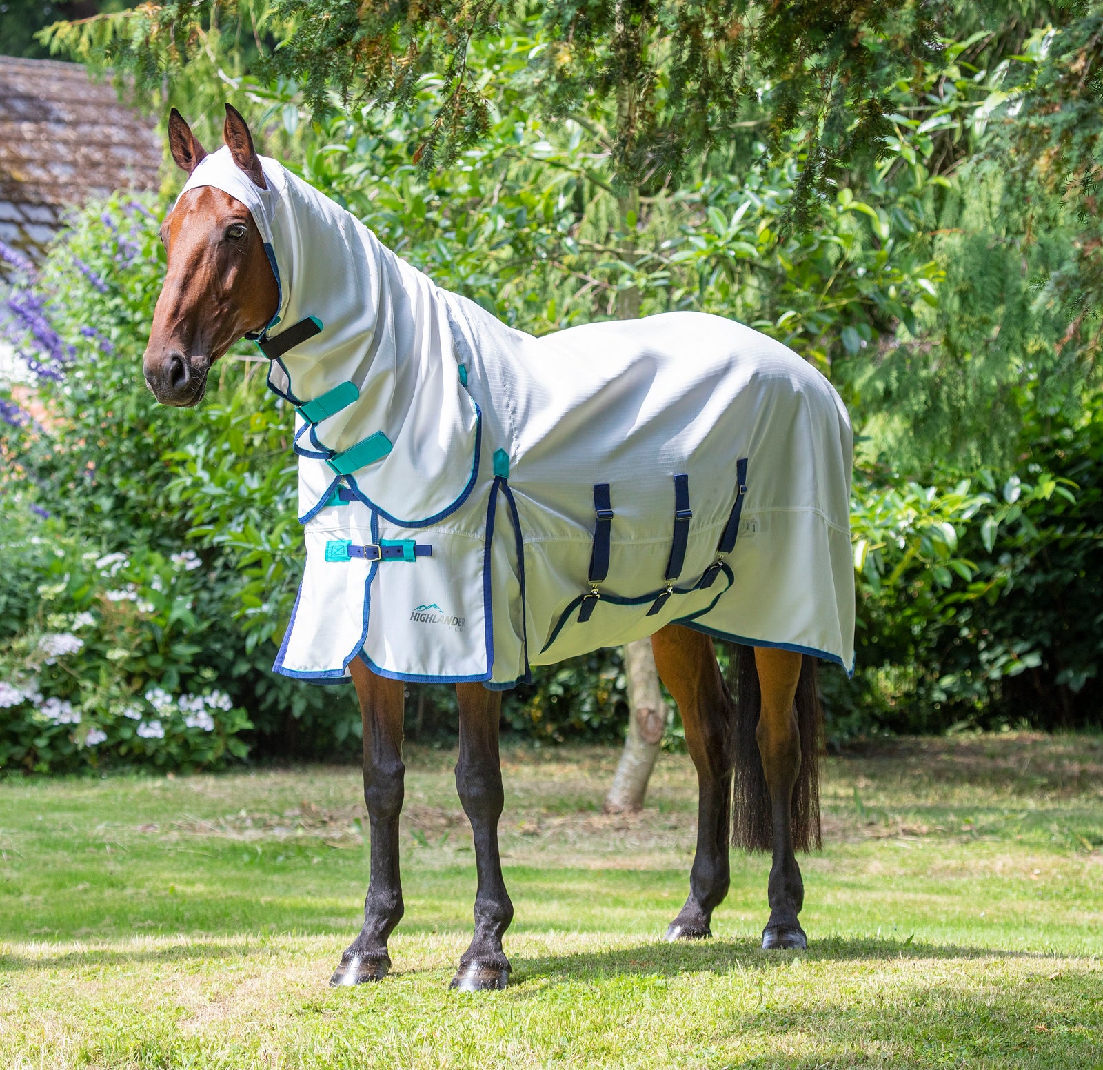 Highlander Plus Sweet-itch Combo Rug