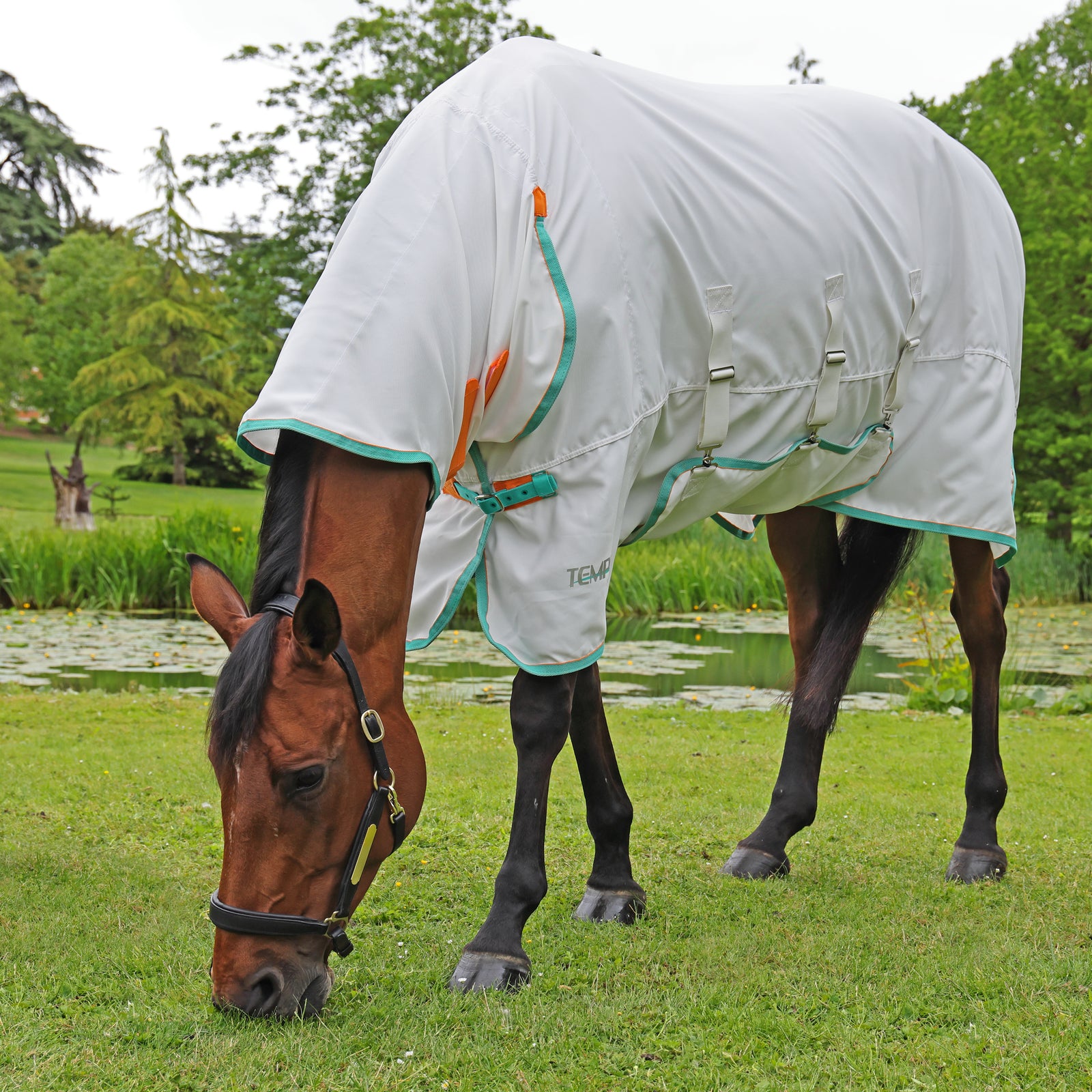 Tempest Plus Sweet-itch Combo Rug
