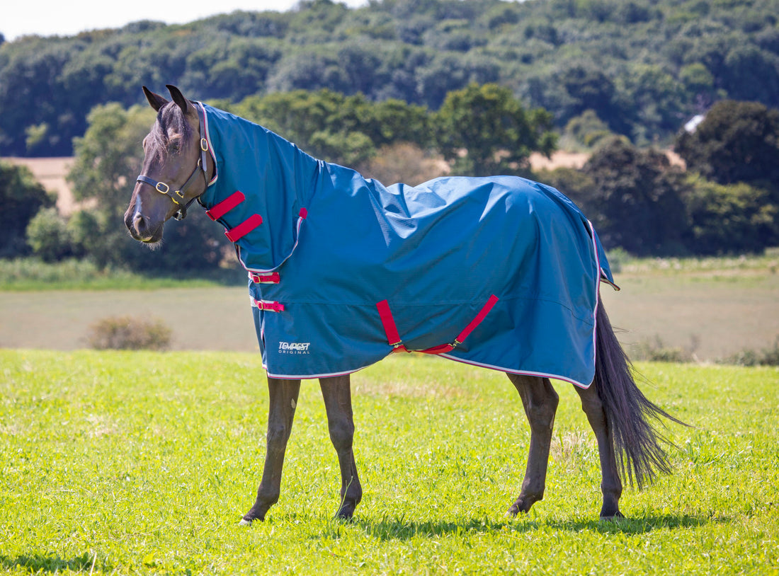 Tempest Original Lite Combo Turnout Rug - Teal