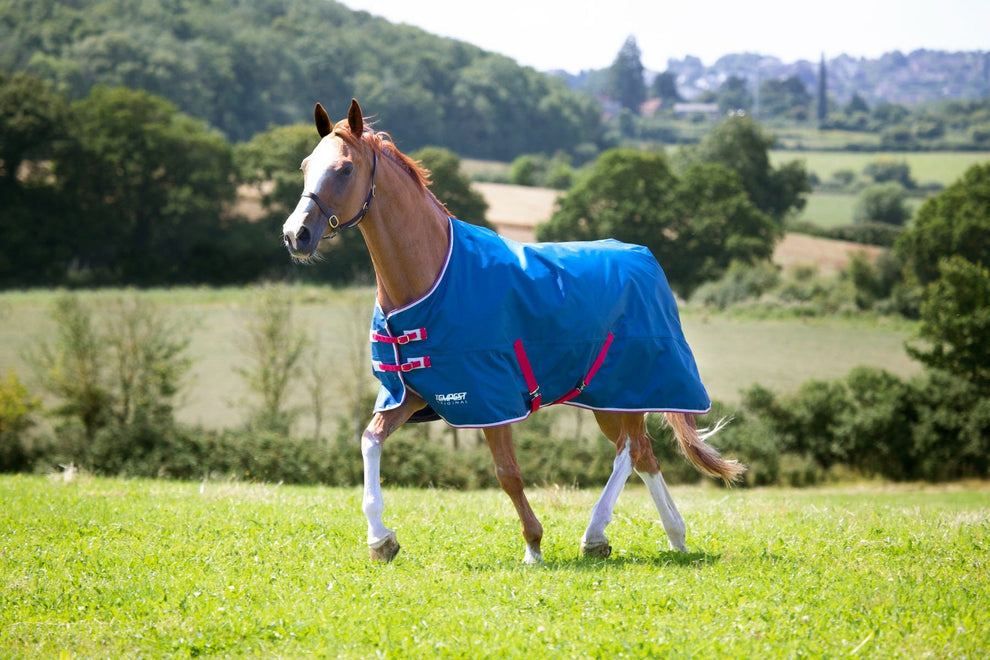 Tempest Original Lite Turnout Rug - Teal