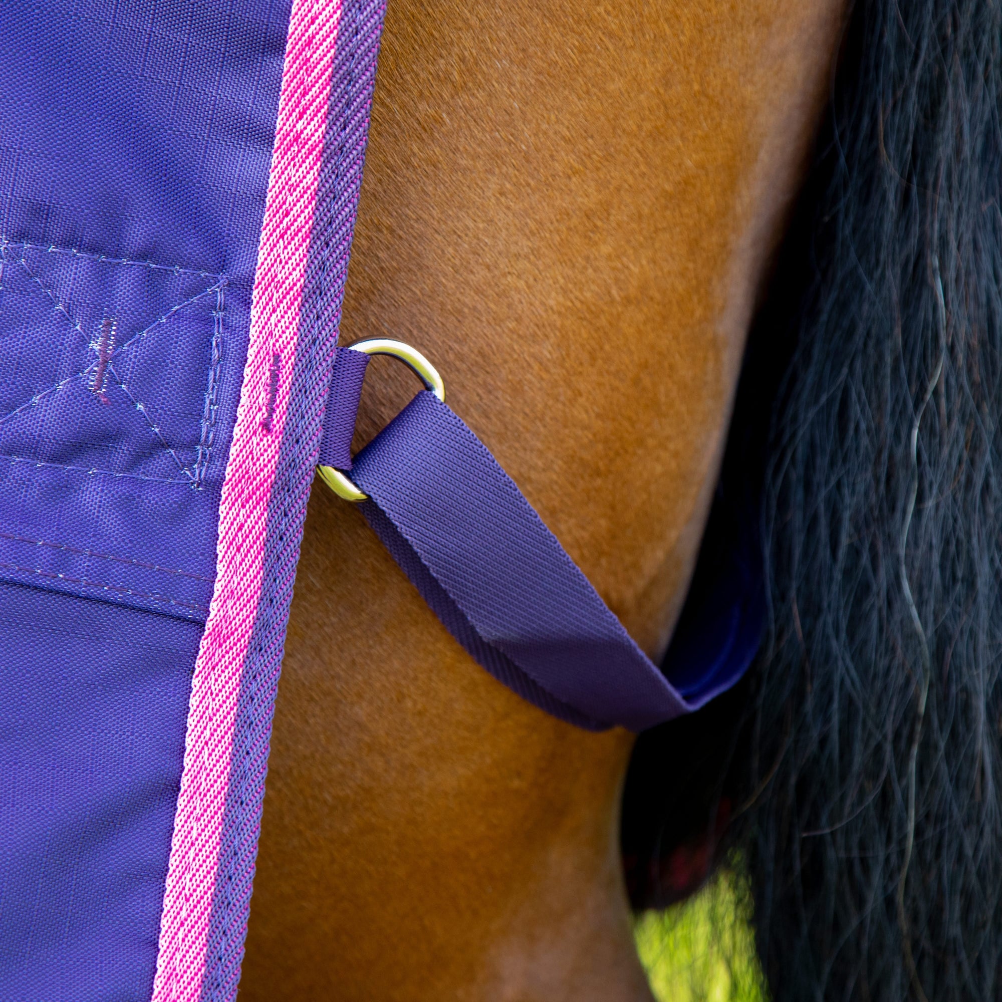 Tempest Original 200 Turnout Rug