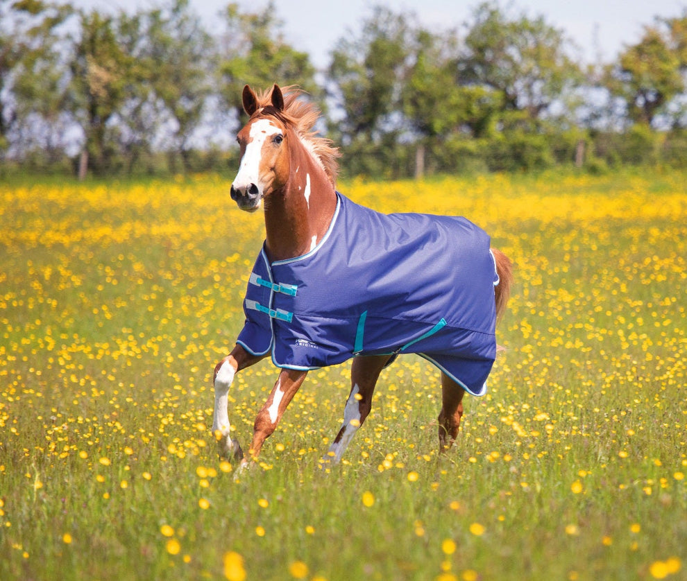 Tempest Original 100 Turnout Rug - Navy