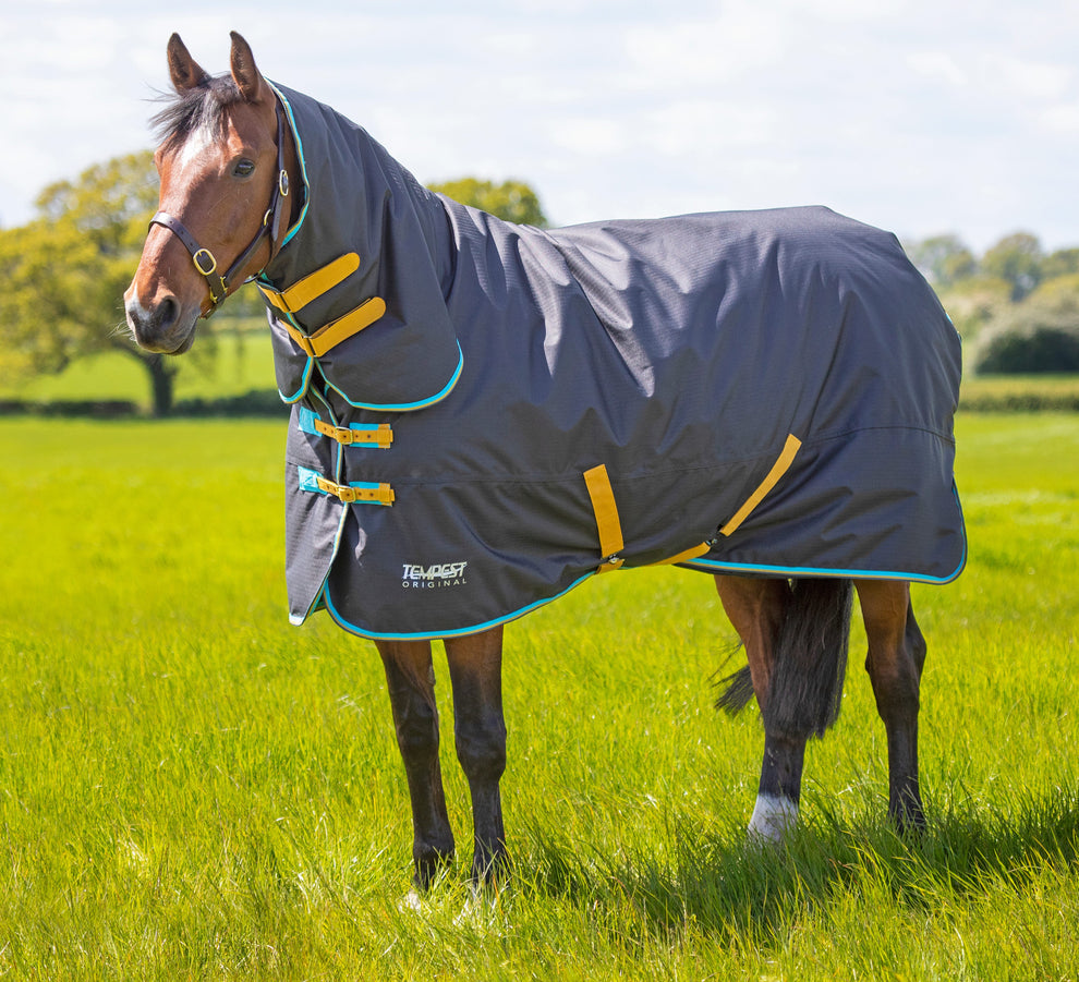 Tempest Original 300 Turnout Combo Rug - Black