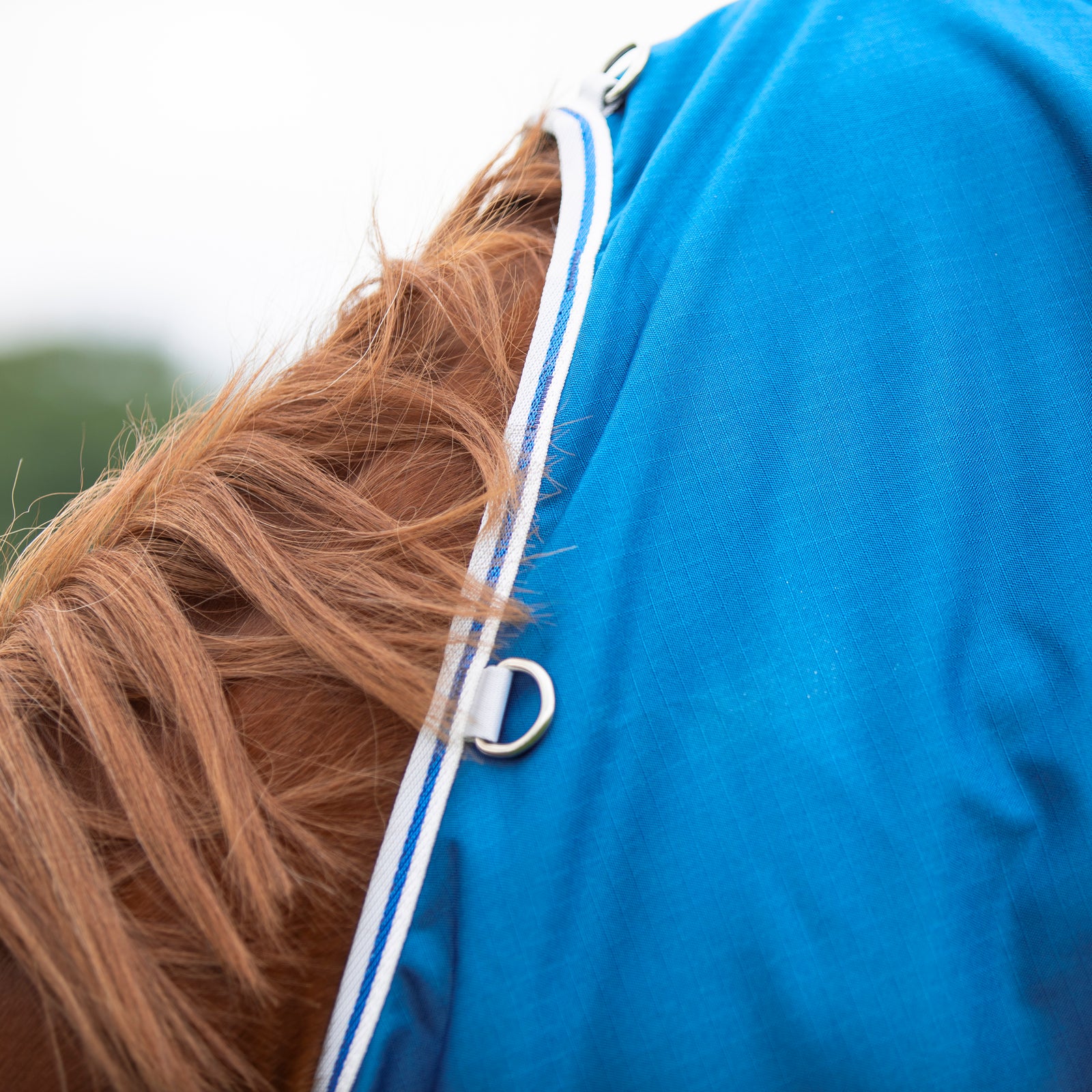 Highlander Original 200g Turnout Rug - Blue