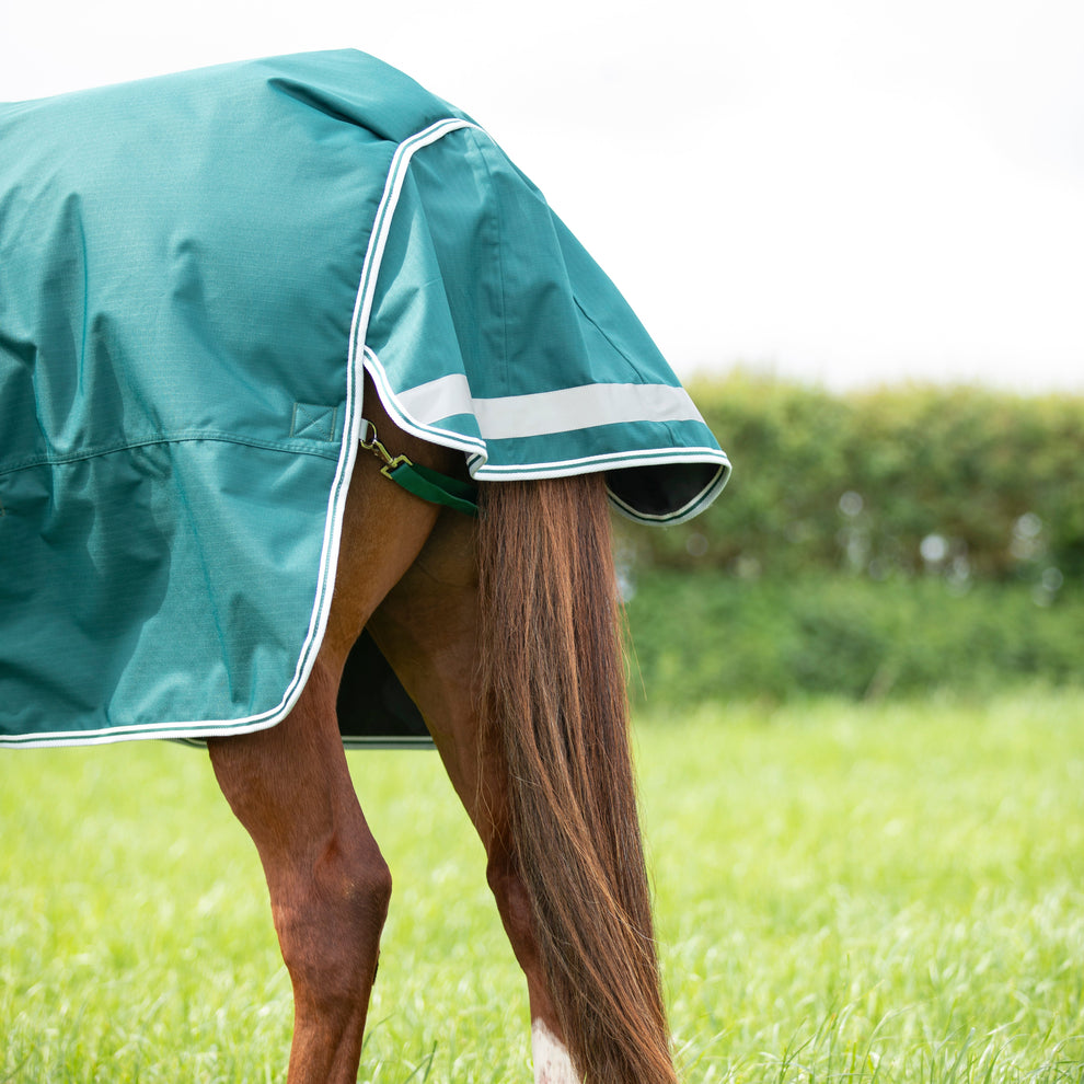 Highlander Original 300g Turnout Rug - Green