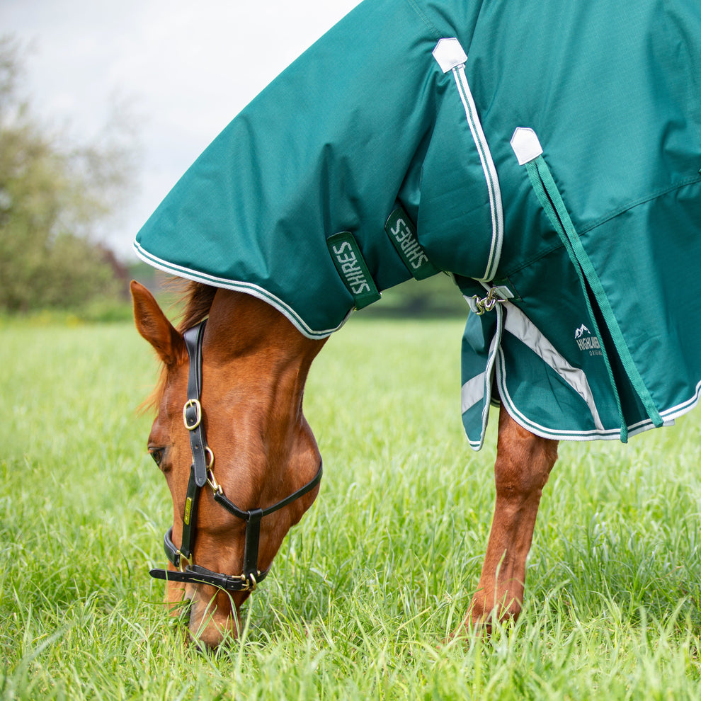 Highlander Original 300 Turnout Combo Rug -Green
