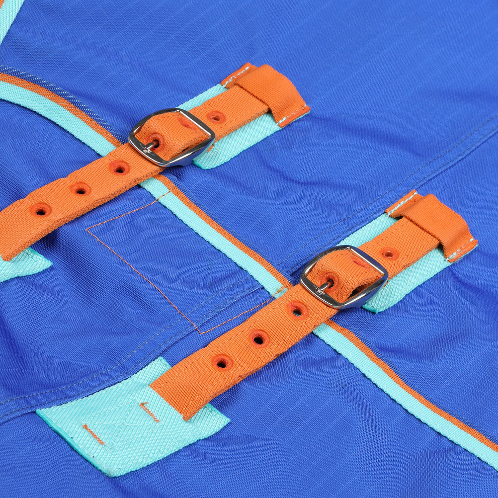 Tempest Original 50 Turnout Combo Rug - Royal