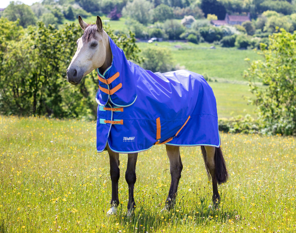 Tempest Original 50 Turnout Combo Rug - Royal