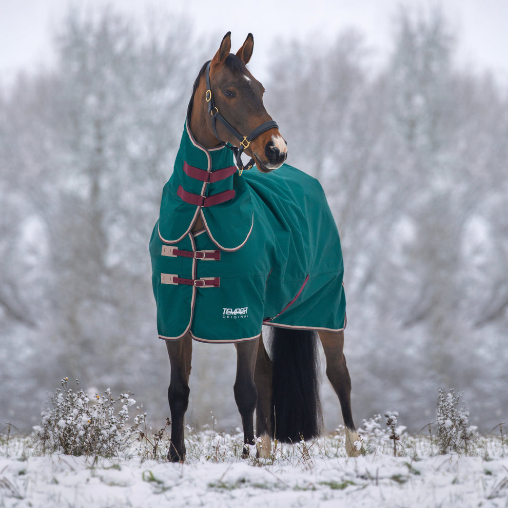 Tempest Original 200 Turnout Rug &amp; Neck - Green