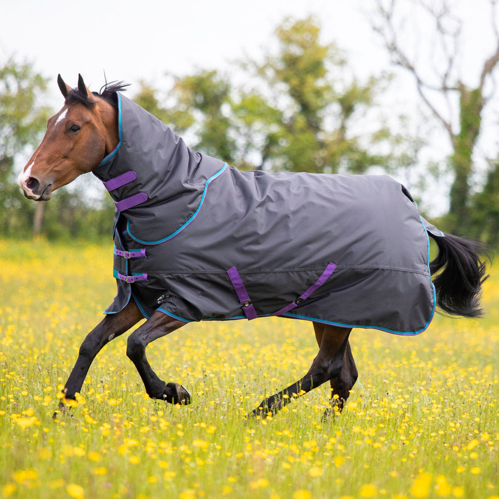 Tempest Original 300 Turnout Rug &amp; Neck Set -Black