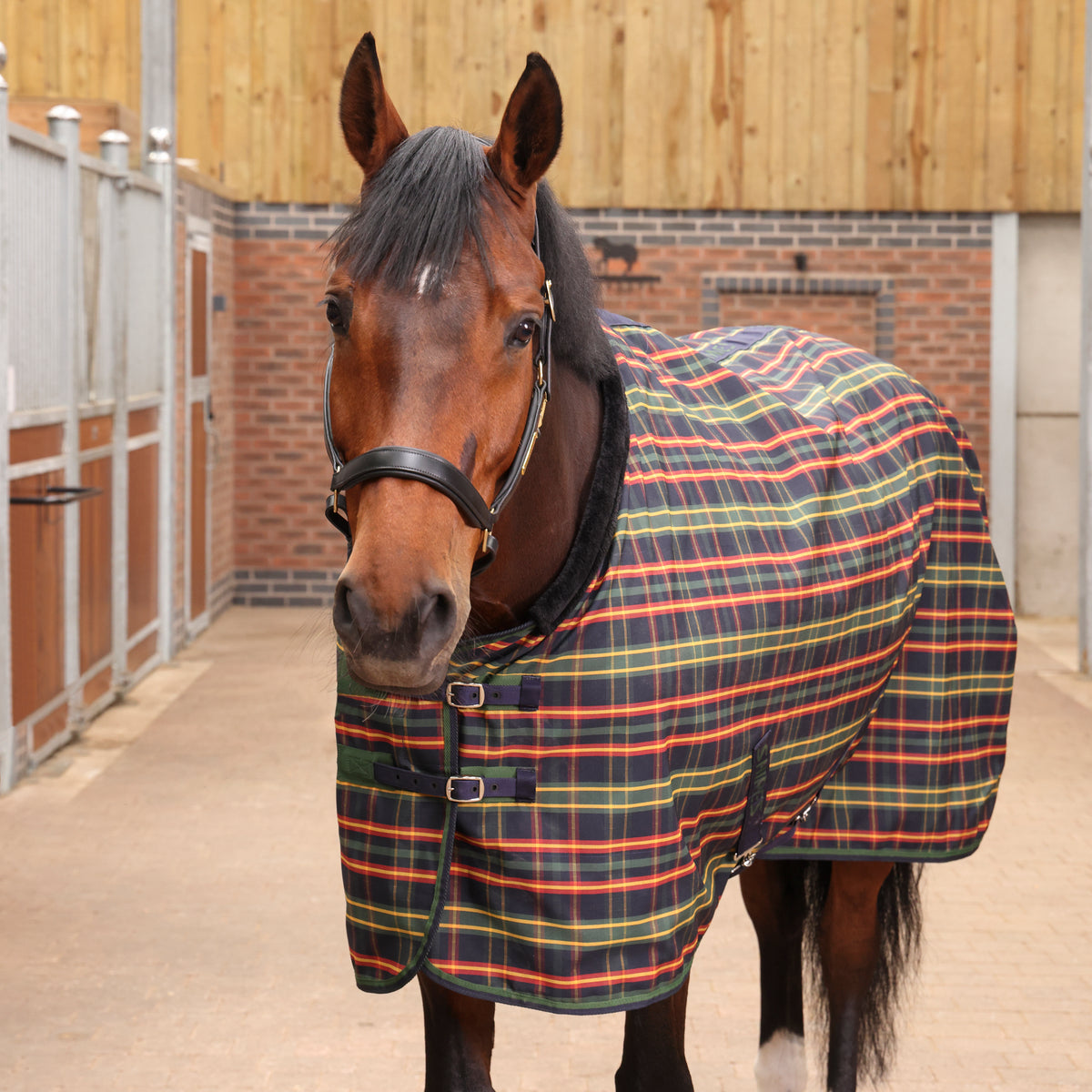 Tempest Plus Lite Stable Rug - Green Tartan