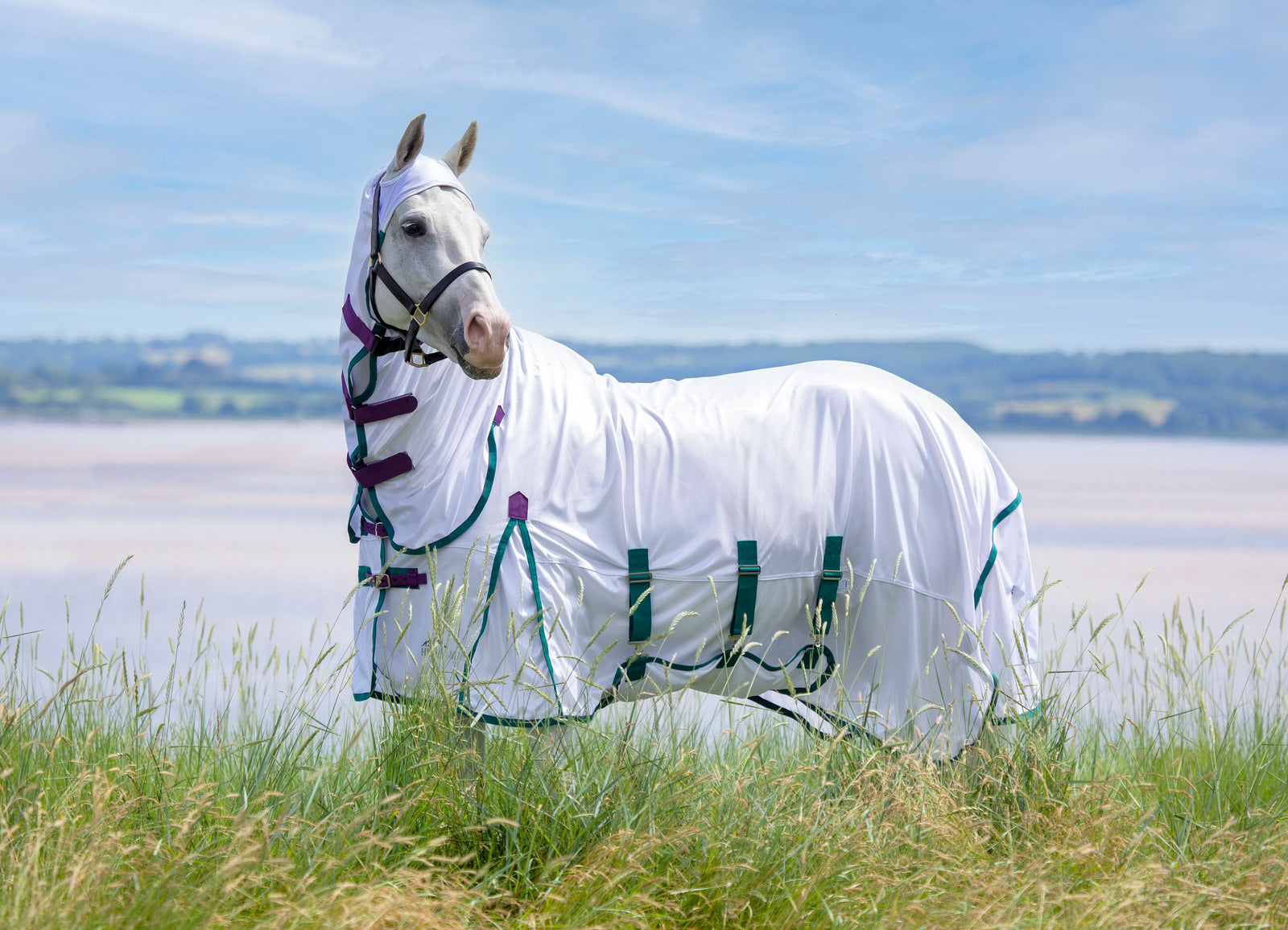 Highlander Plus Fly Sheet Combo Rug