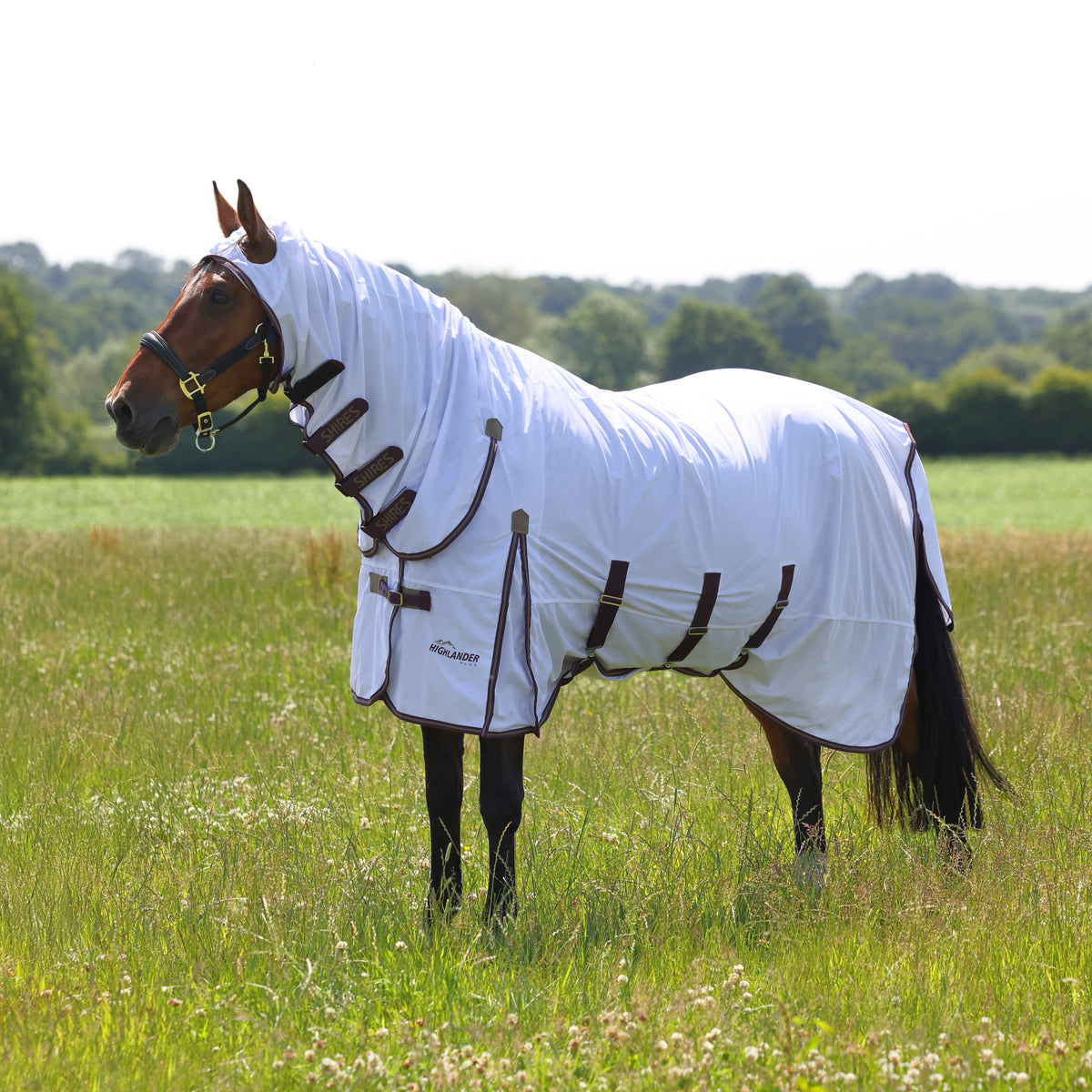 Highlander Plus Fly Sheet Combo Rug - Nags Essentials