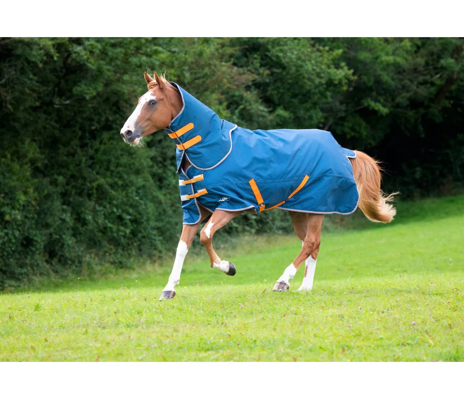 Tempest Original Lite Turnout Rug and Neck Set - Teal