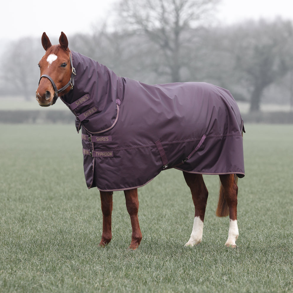 Typhoon 100 Combo Turnout Rug - Black Cherry