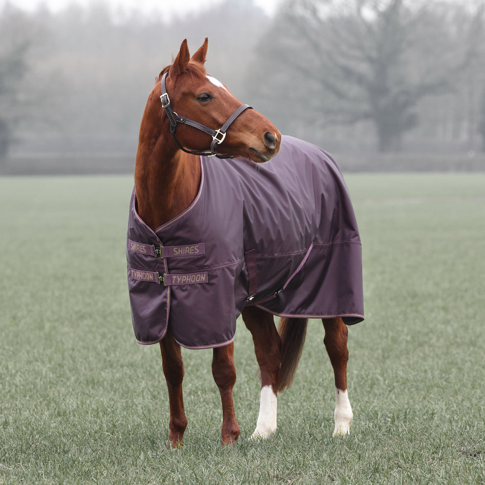 Typhoon 100 Turnout Rug