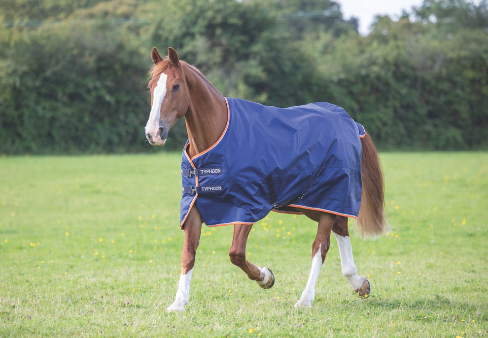 Typhoon 100 Turnout Rug