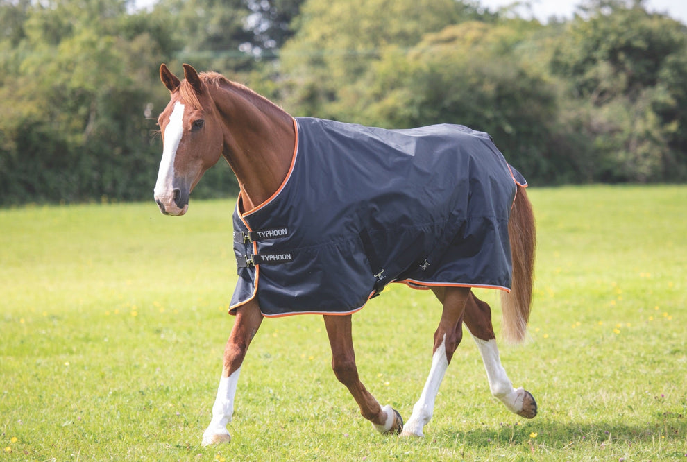 Typhoon 200 Turnout Rug