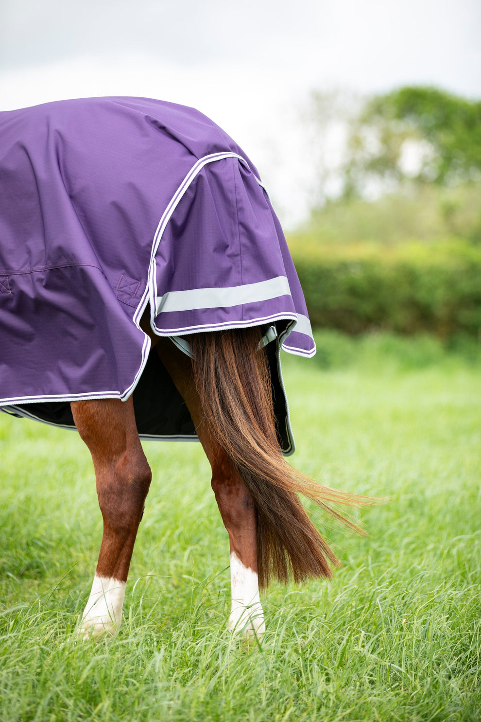 Highlander Original 100 Turnout Rug & Neck Set -Plum