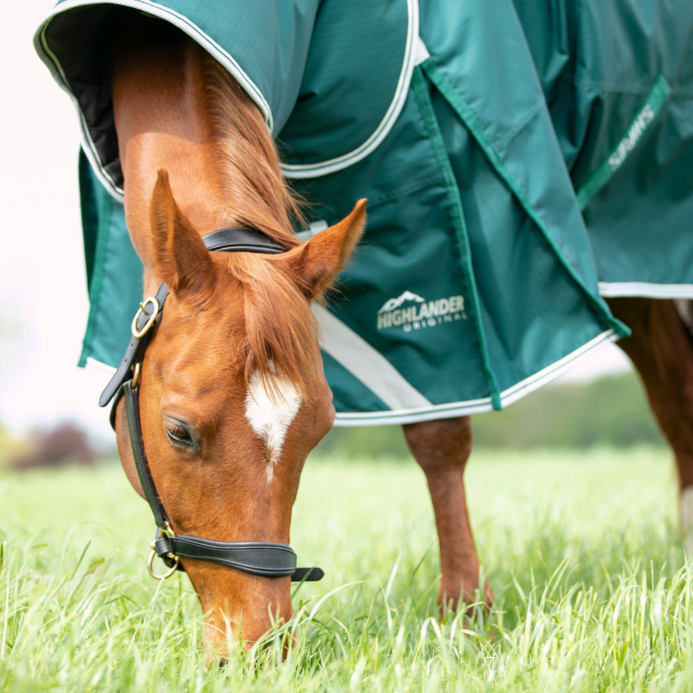 Highlander Original 300 Turnout Rug & Neck -Green