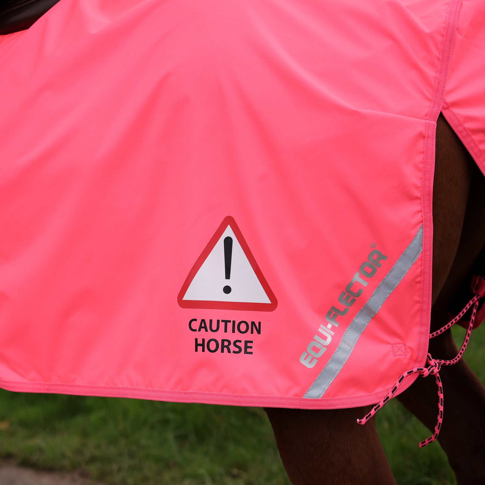 EQUI - FLECTOR Waterproof Exercise Sheet