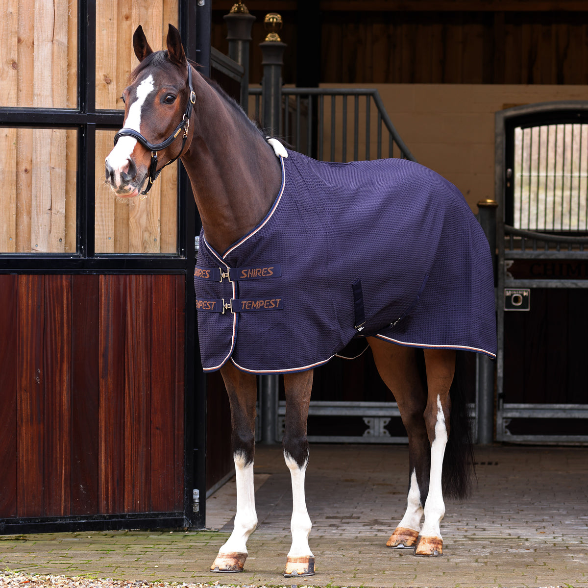 Tempest Original Waffle Rug -Navy