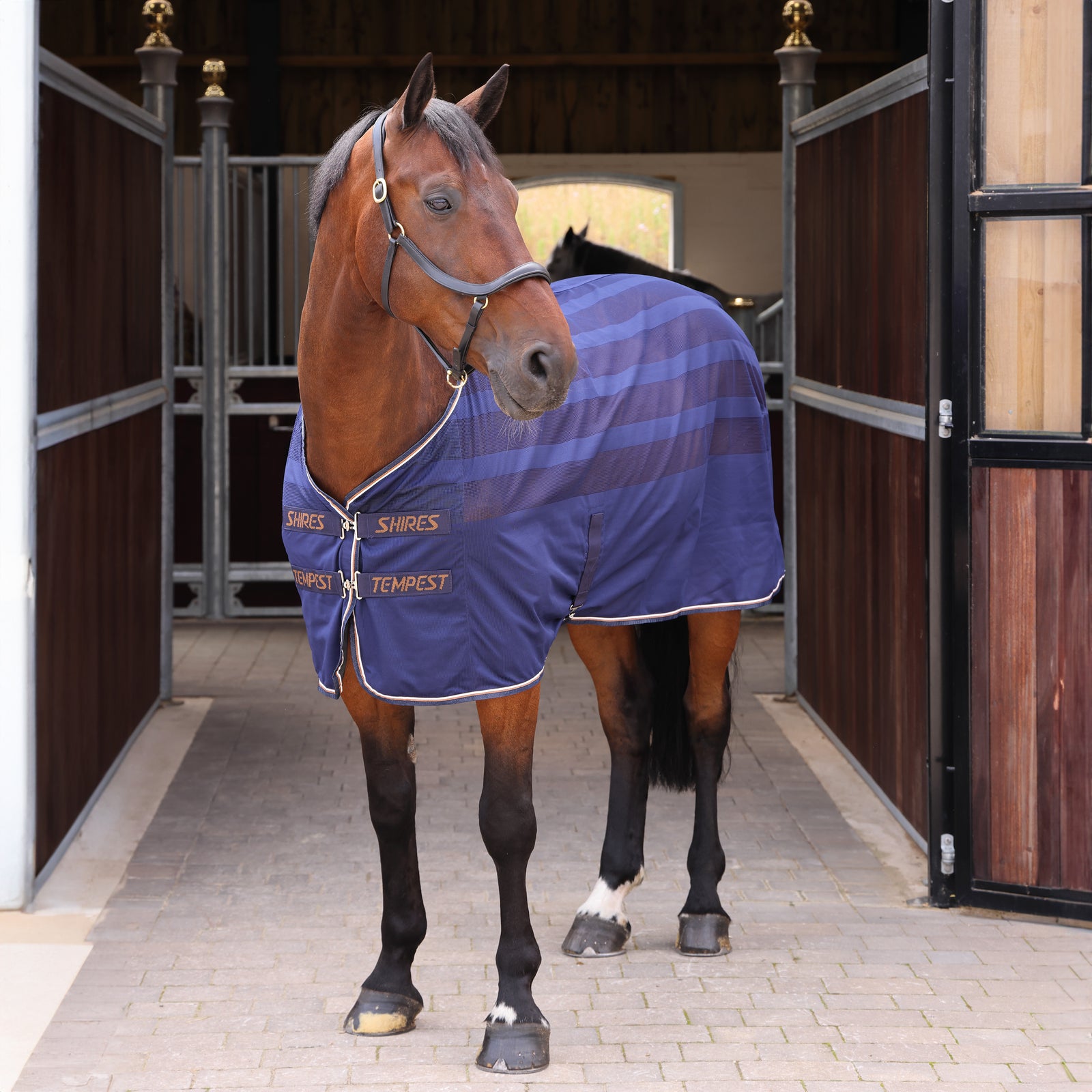 Tempest Original Scrim Cooler Rug - Ink