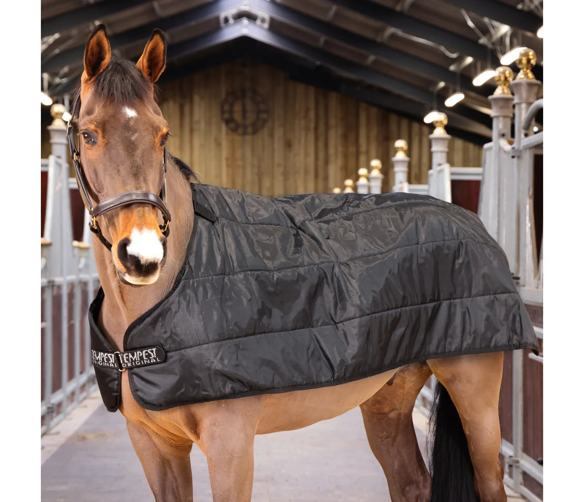 Tempest WarmaRug 200 Turnout Rug Liner - Black