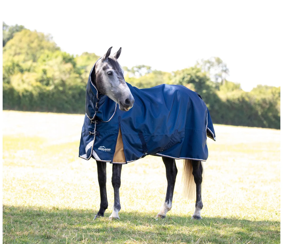 Highlander Plus Lite Combo Turnout Rug - Navy