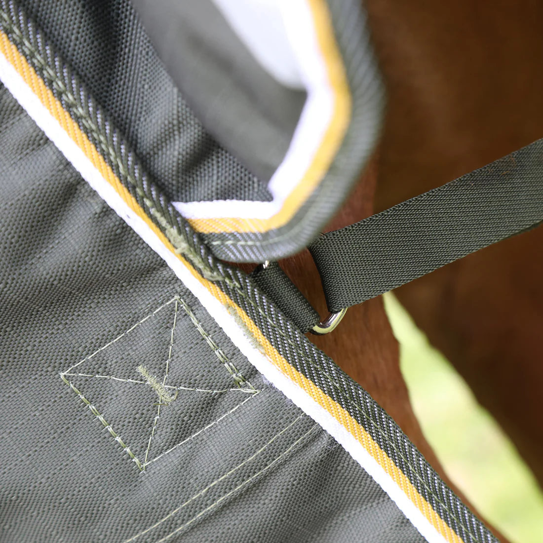 Highlander Plus 50g Turnout Rug - Green