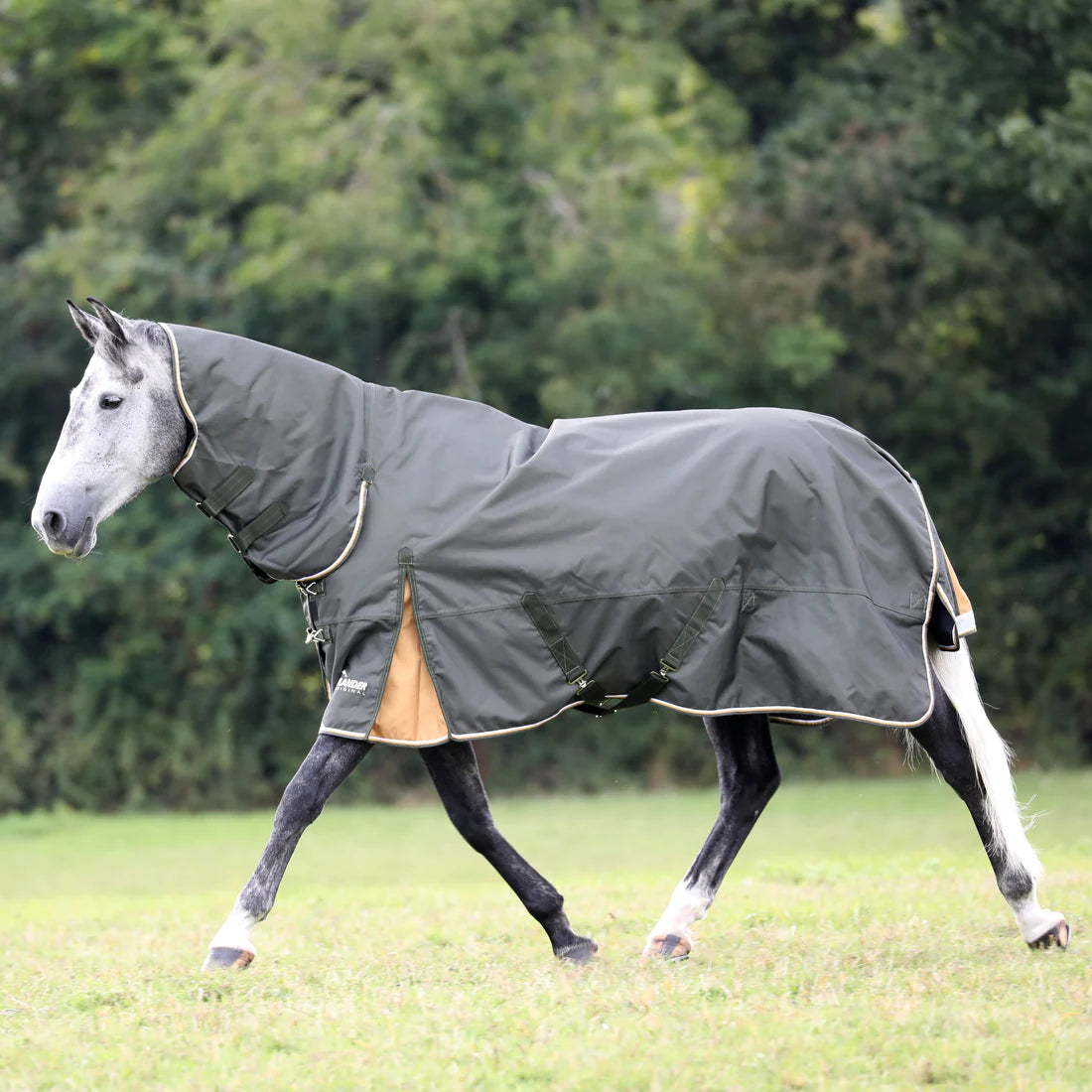 Highlander Plus 50g Combo Turnout Rug - Green