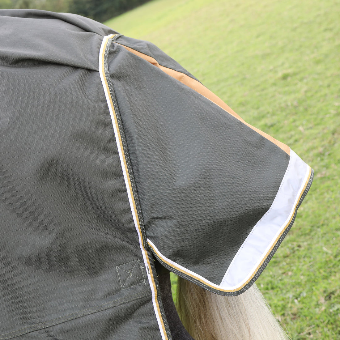 Highlander Plus 50g Combo Turnout Rug - Green