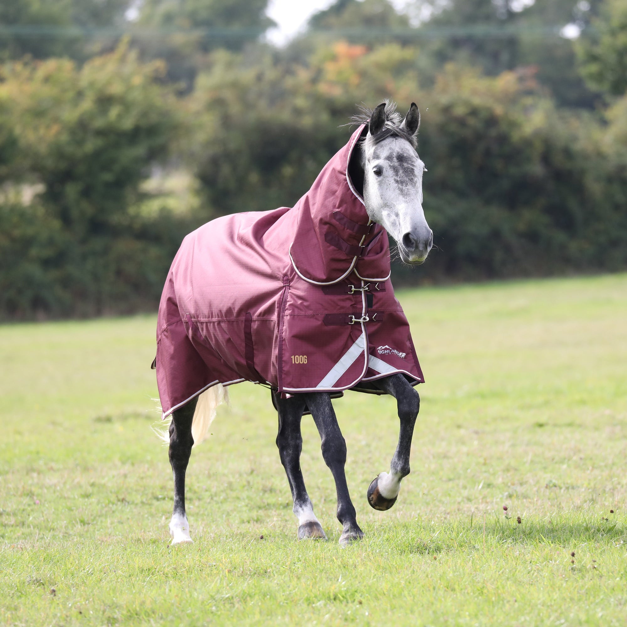 Highlander Plus 100 Combo Turnout Rug - Maroon