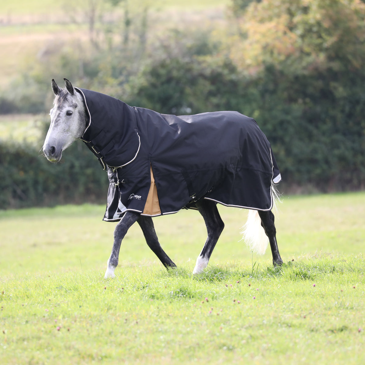 Highlander Plus 200 Combo Turnout Rug- Black