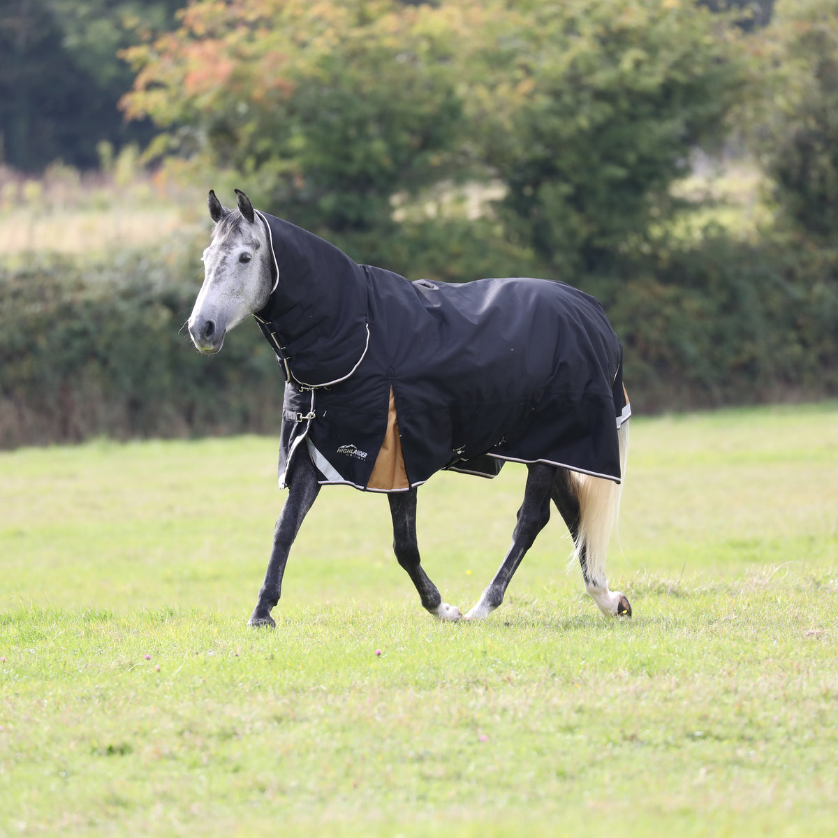 Highlander Plus 200 Combo Turnout Rug- Black