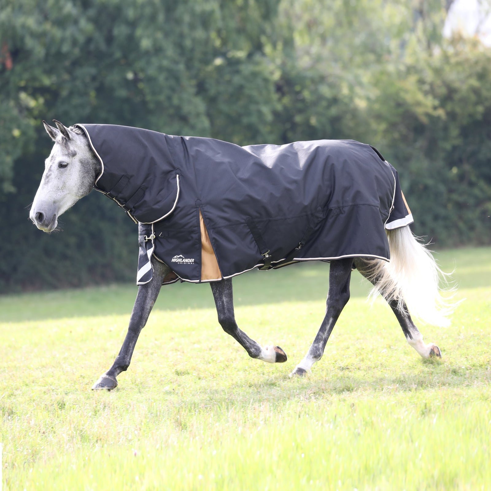 Highlander Plus 200 Combo Turnout Rug- Black