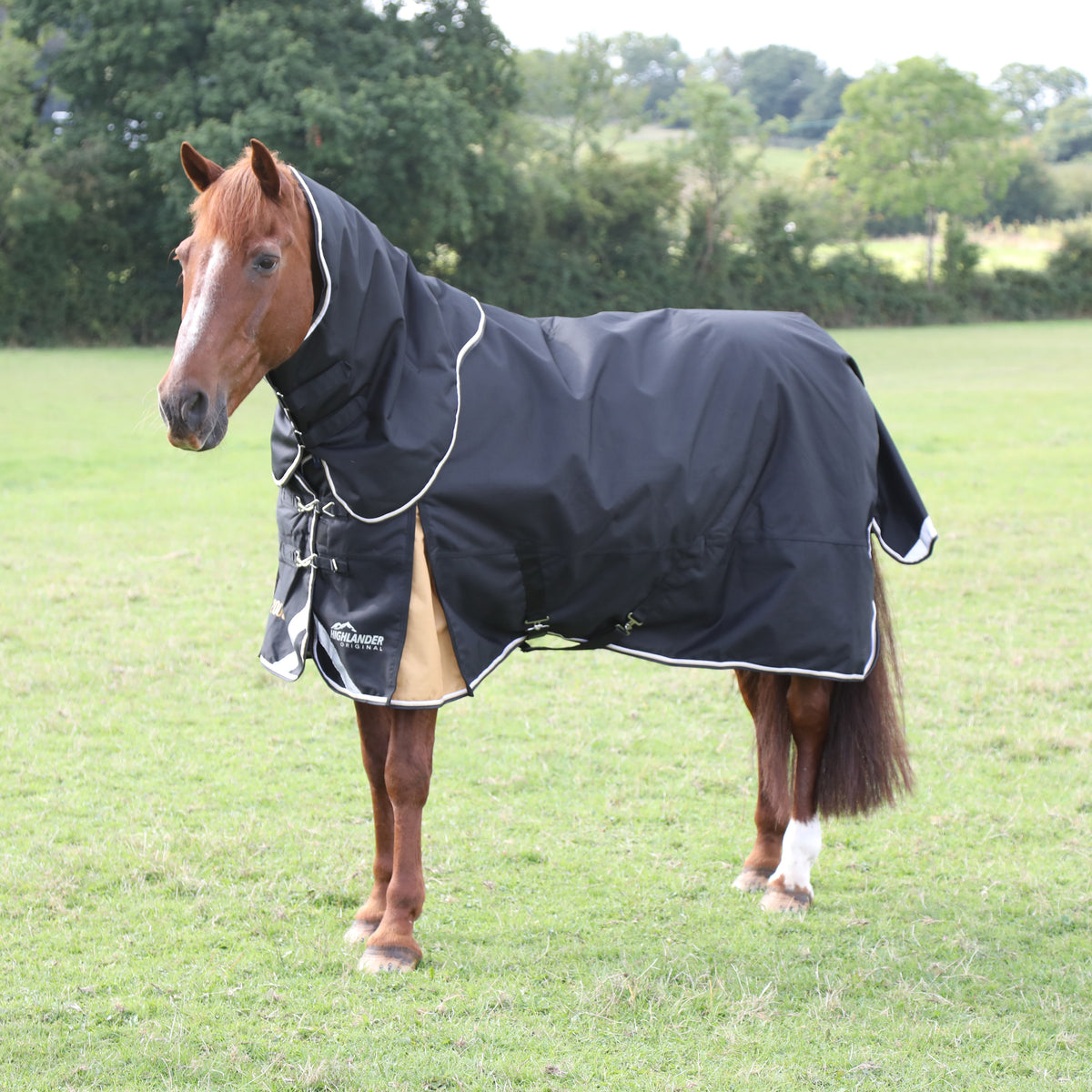 Highlander Plus 200 Turnout Rug &amp; Neck Set - Black