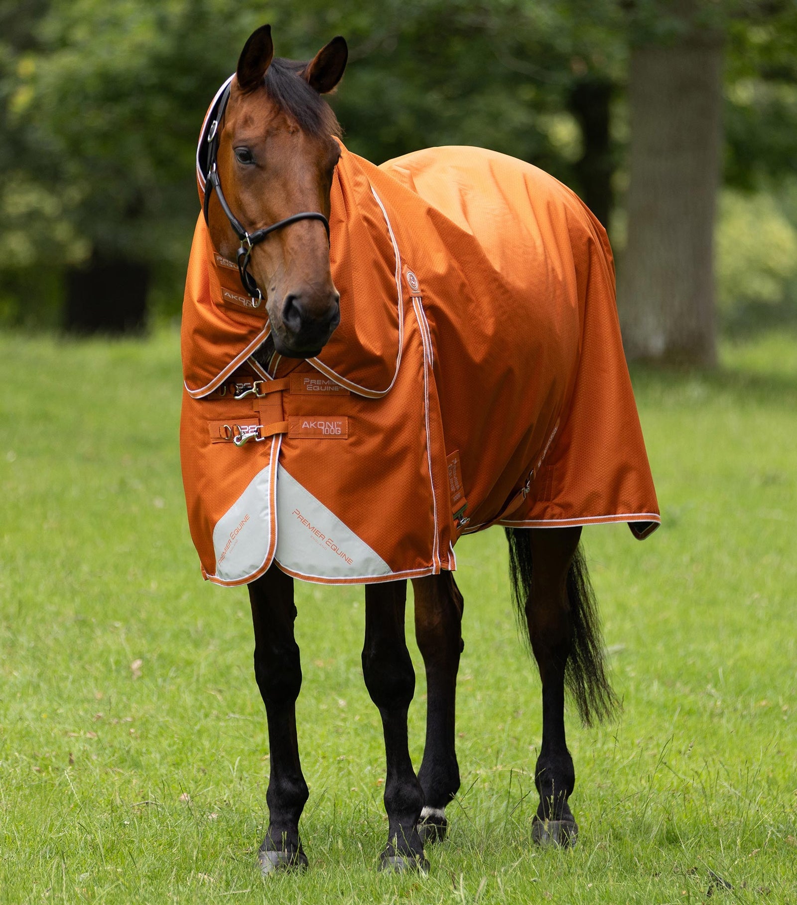 Premier Equine Akoni 100g Turnout Rug with Classic Neck Cover