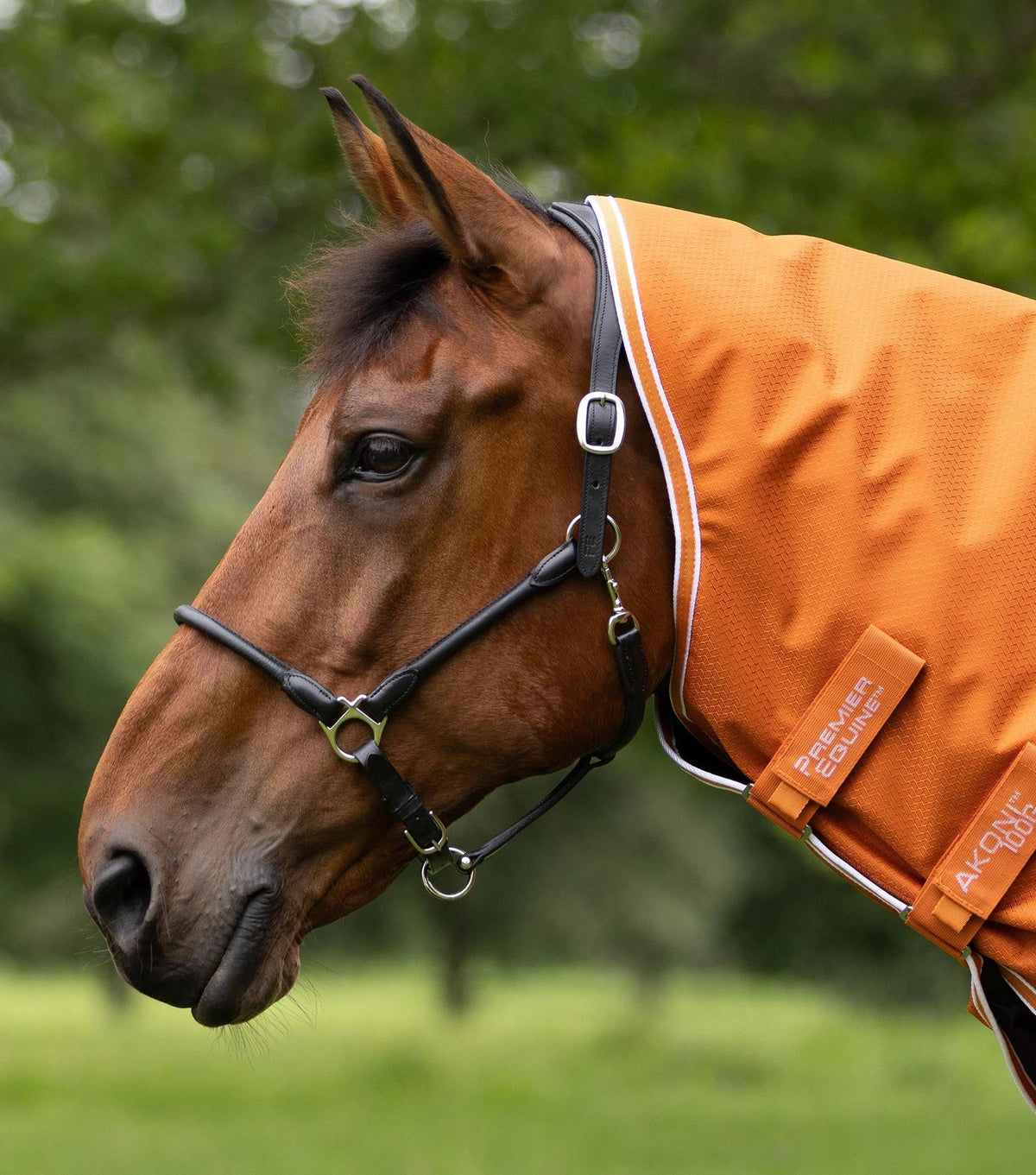 Premier Equine Akoni 100g Turnout Rug with Classic Neck Cover