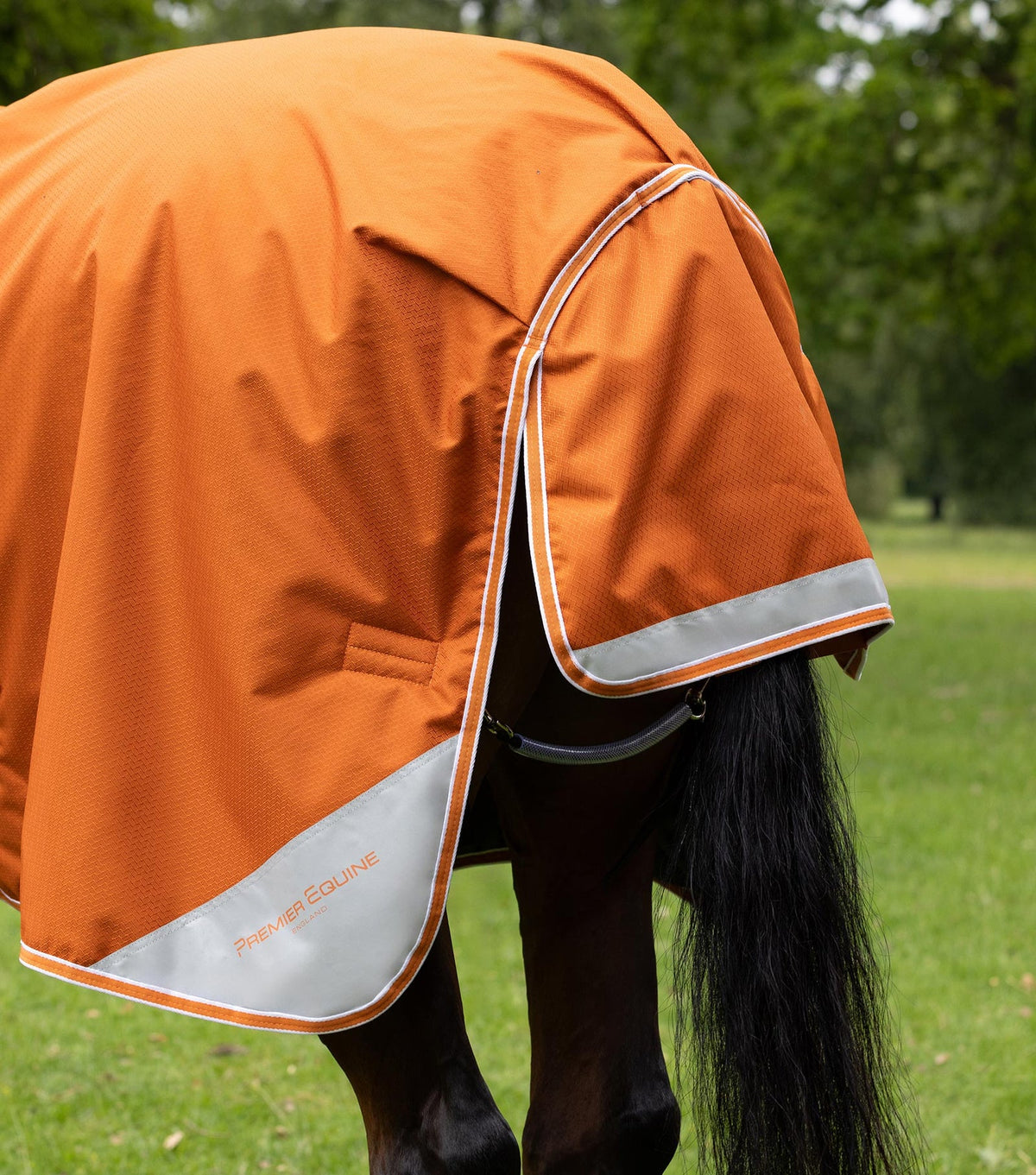 Premier Equine Akoni 100g Turnout Rug with Classic Neck Cover