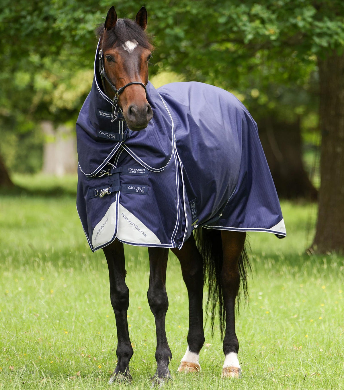 Premier Equine Akoni 100g Turnout Rug with Classic Neck Cover