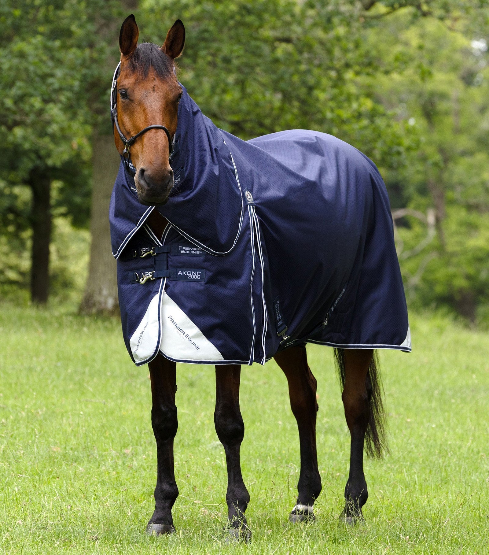 Premier Equine Akoni 200g Turnout Rug with Classic Neck Cover
