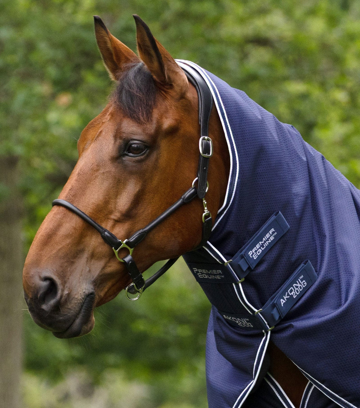 Premier Equine Akoni 200g Turnout Rug with Classic Neck Cover